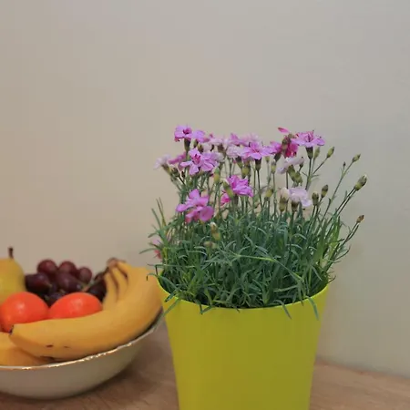 Centar Apartment *